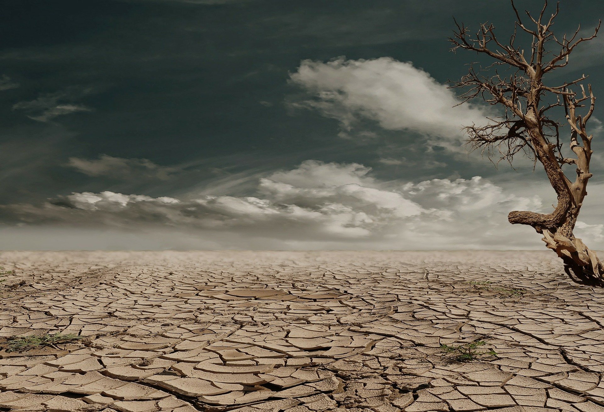 terra siccità deserto