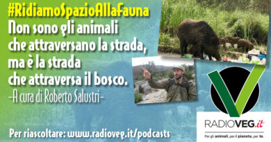 ridiamo spazio alla fauna