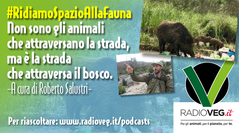 ridiamo spazio alla fauna