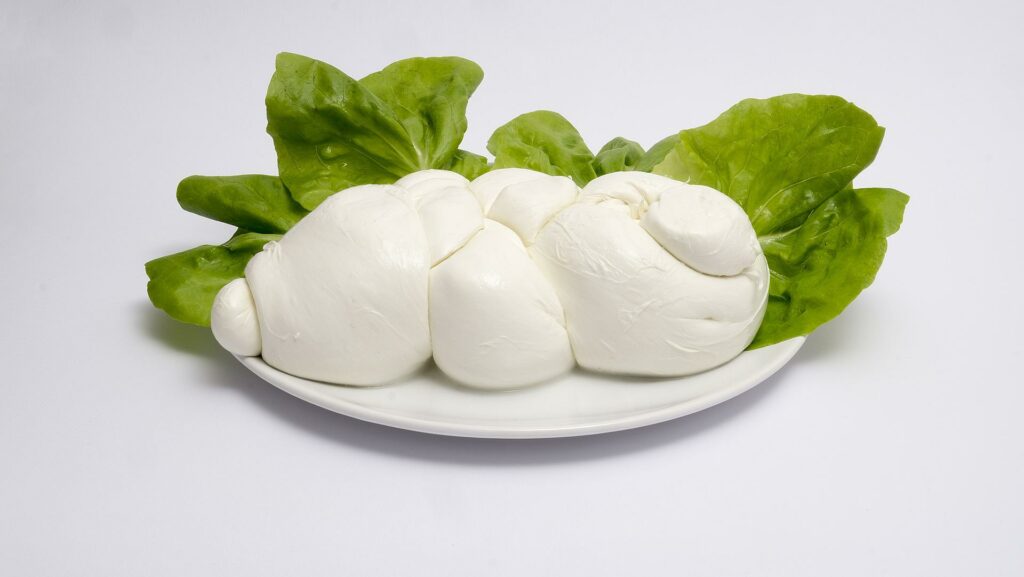 mozzarella di bufala