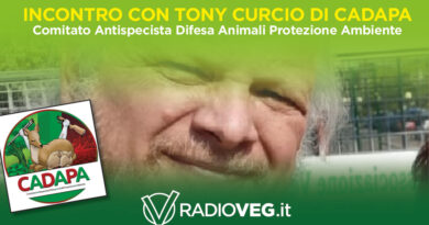 CADAPA TONY CURCIO