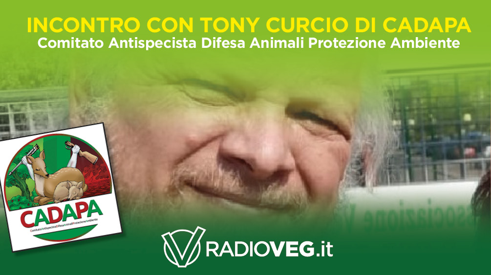 CADAPA TONY CURCIO