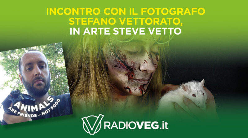 steve vettorato