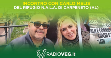 carlo melis n.a.l.a.