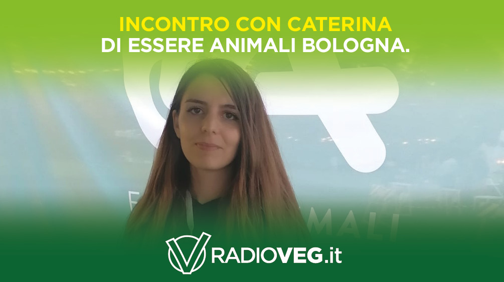 CATERINA ESSERE ANIMALI BOLOGNA