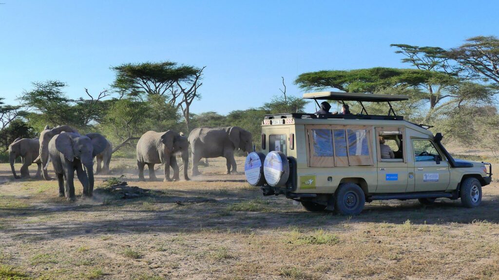 Tanzania safari