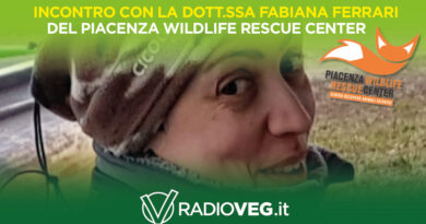 FABIANA FERRARI PIACENZA WILDLIFE