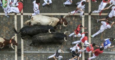 SAN FIRMIN ENCIERRO