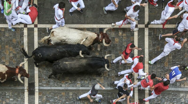 SAN FIRMIN ENCIERRO