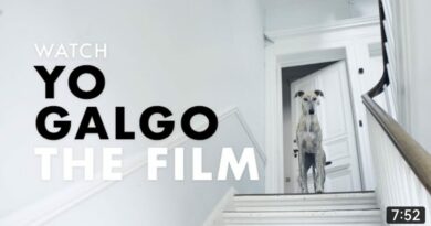 yo galgo documentario