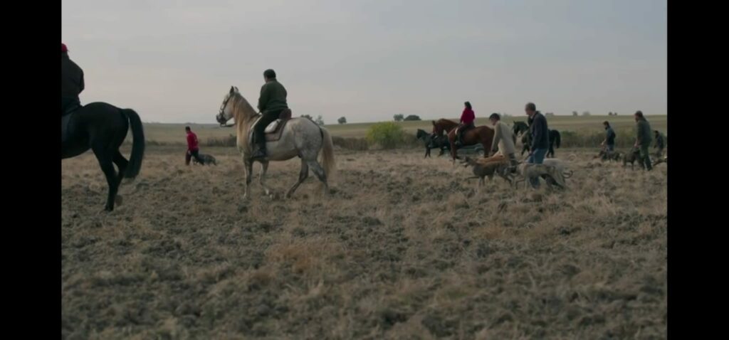 yo galgos frame documentario