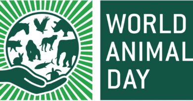 animal world day