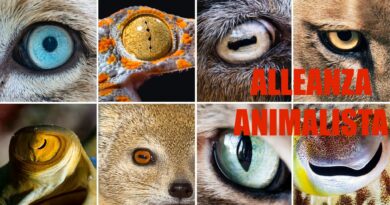 ALLEANZA ANIMALISTA