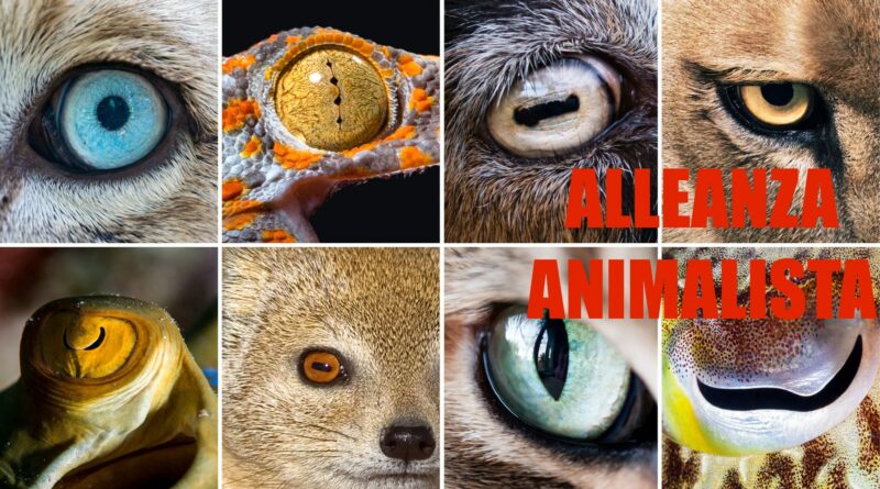 ALLEANZA ANIMALISTA