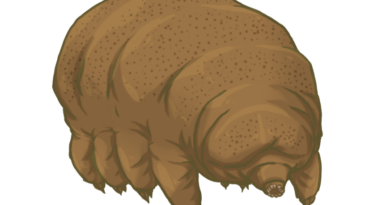 TARDIGRADE