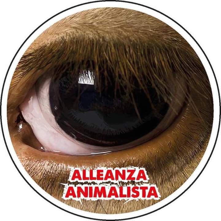 ALLEANZA ANIMALISTA