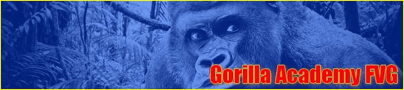 gorilla academy