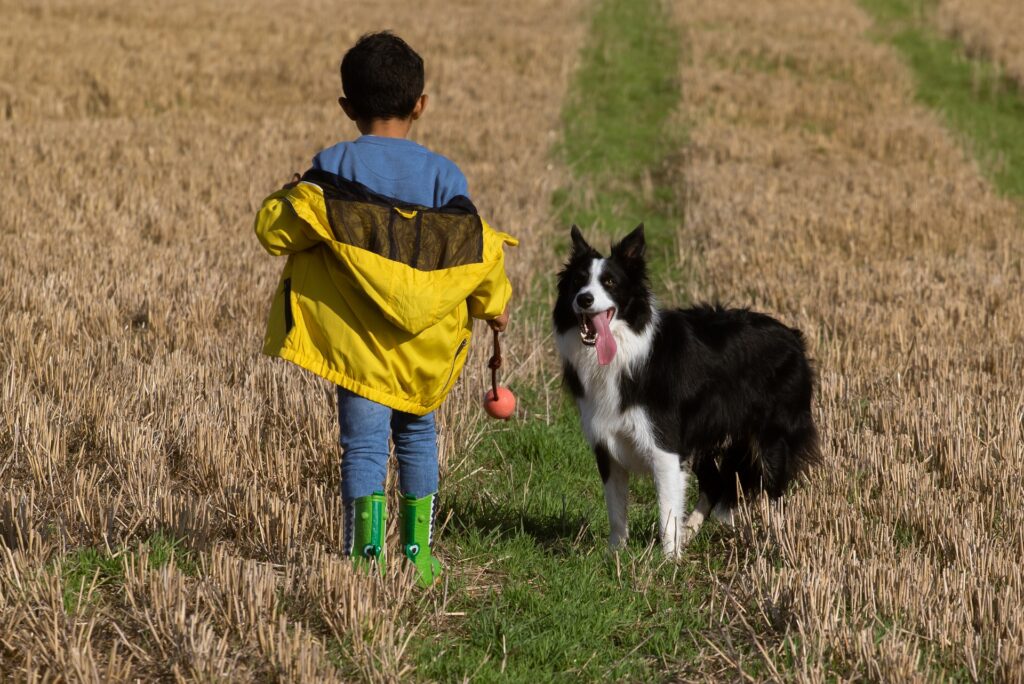 animale e bambino