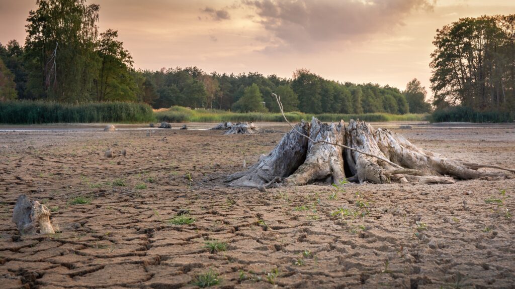 SICCITà CAMBIAMENTO CLIMATICO