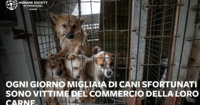 YULIN HSI