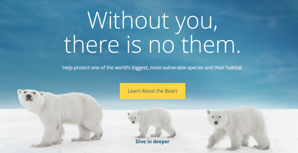 Immagine dal sito Polar Bears International