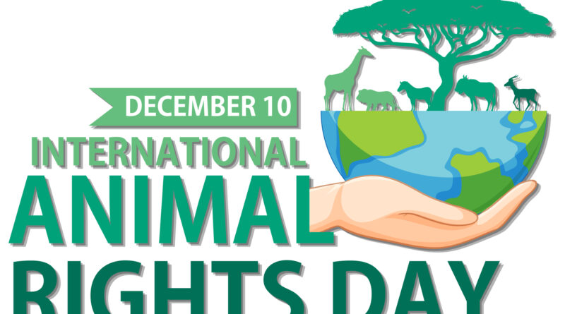 International Animal Rights Day